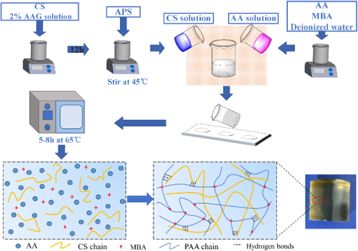 Study on the mechanical properties of Polyacrylic Acid