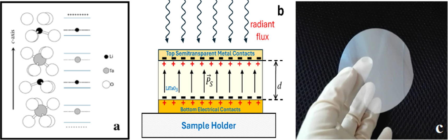 Employing the pyroelectric effect in LiTaO3 thin film for infrared ...
