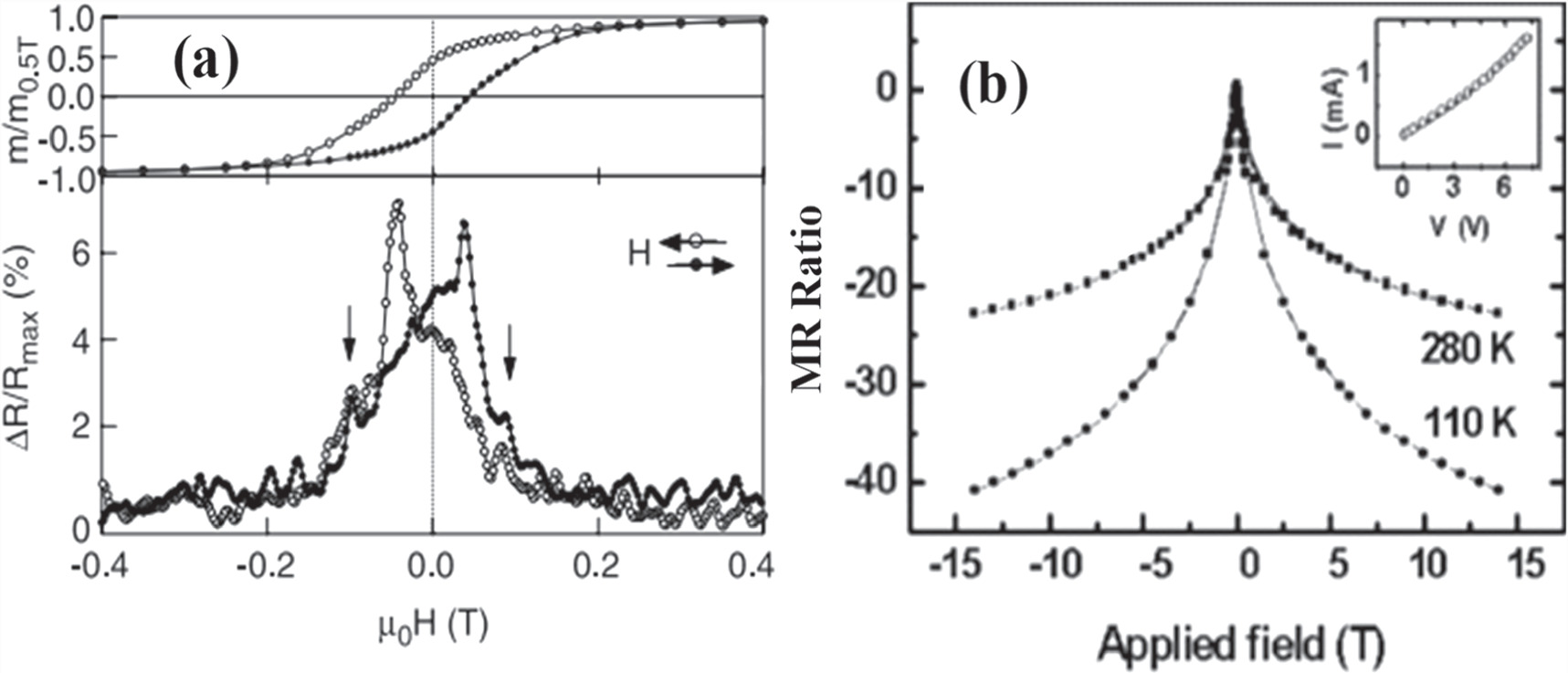 Magnetic and electronic properties of anisotropic magnetite ...