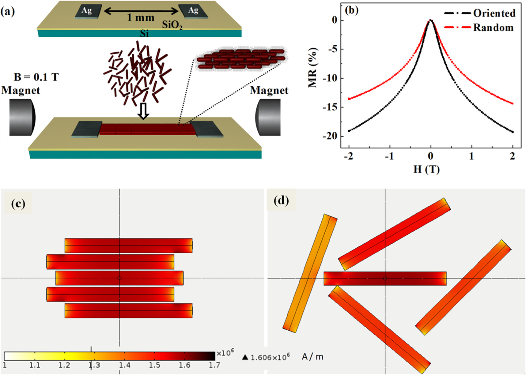 Magnetic and electronic properties of anisotropic magnetite ...