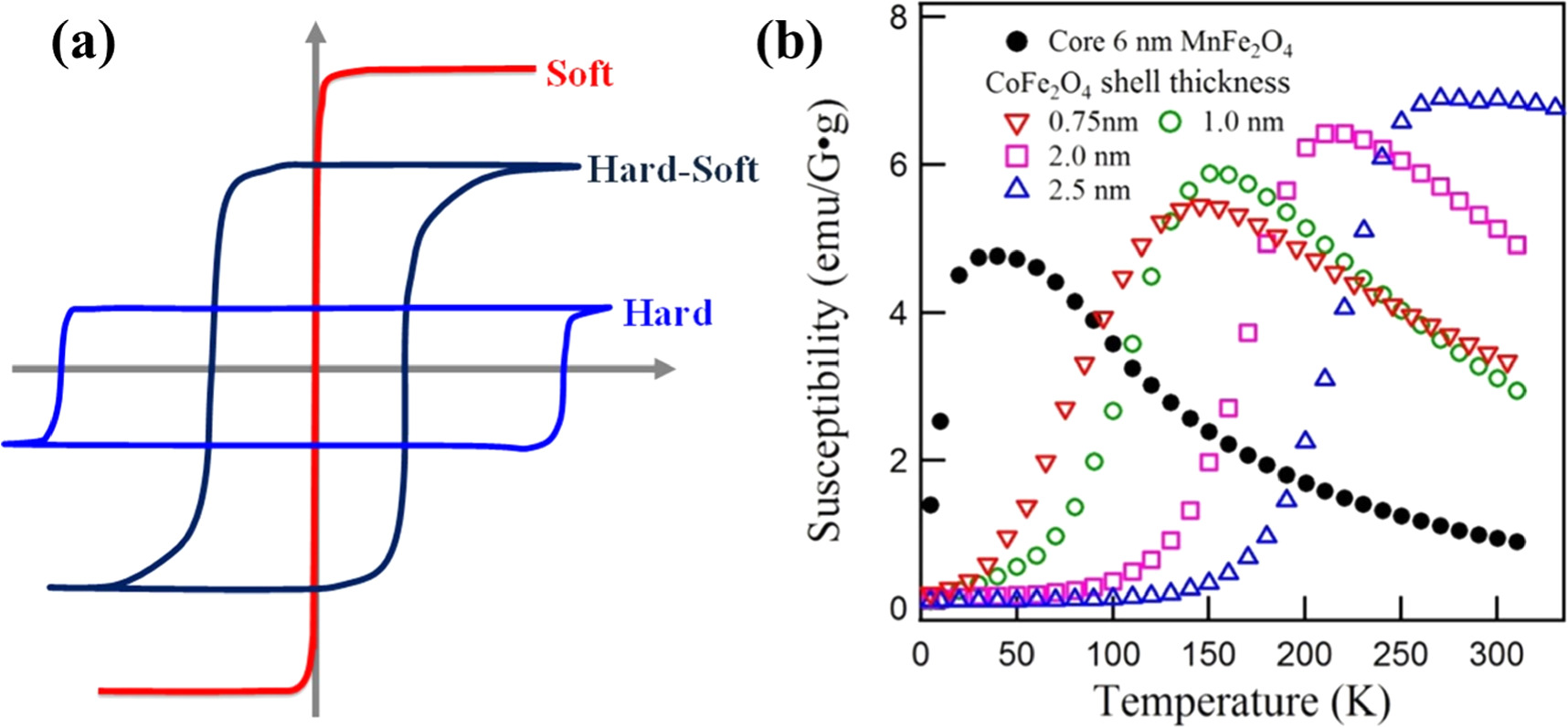 Magnetic and electronic properties of anisotropic magnetite ...