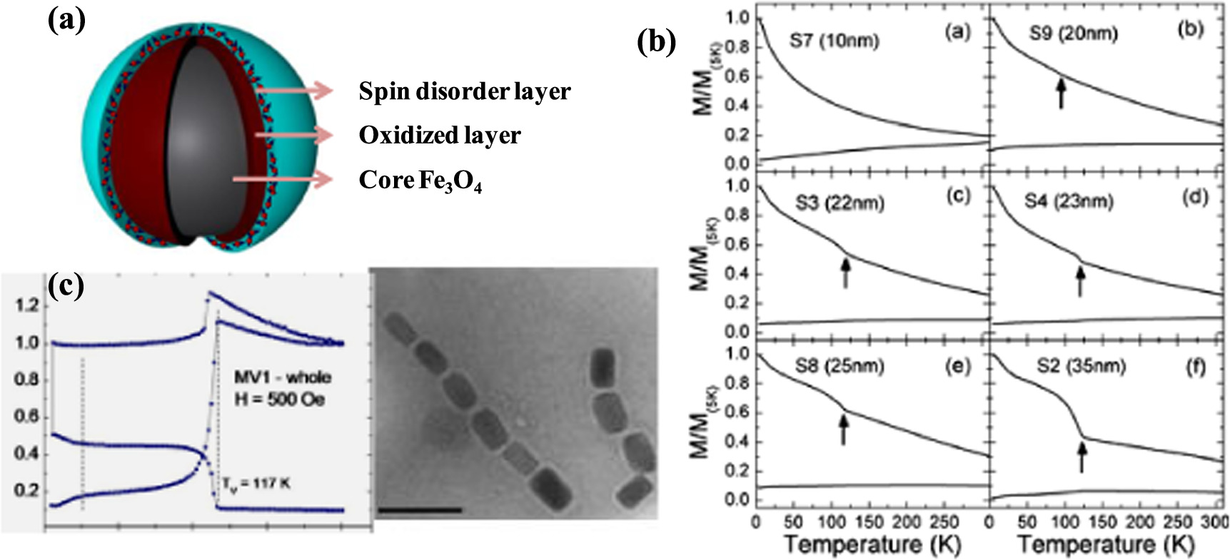 Magnetic and electronic properties of anisotropic magnetite ...