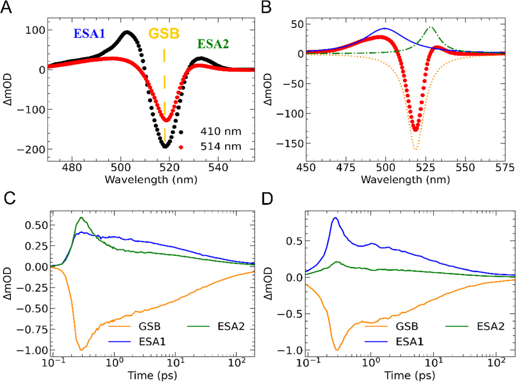 Untangling free carrier and exciton dynamics in layered hybrid ...