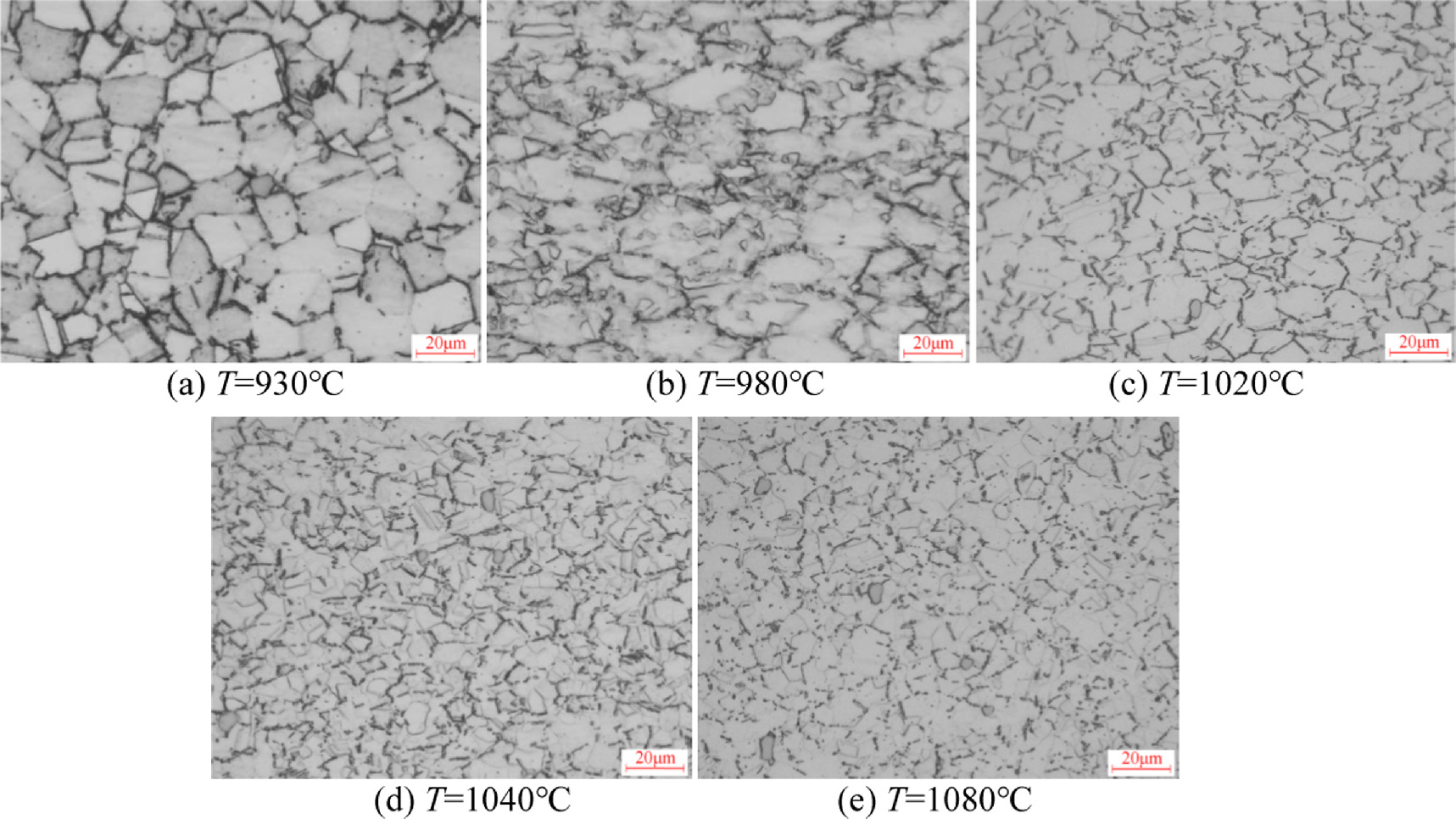 In 718 Microstructure Simulation of δ-phase precipitation behavior in hot compression ...