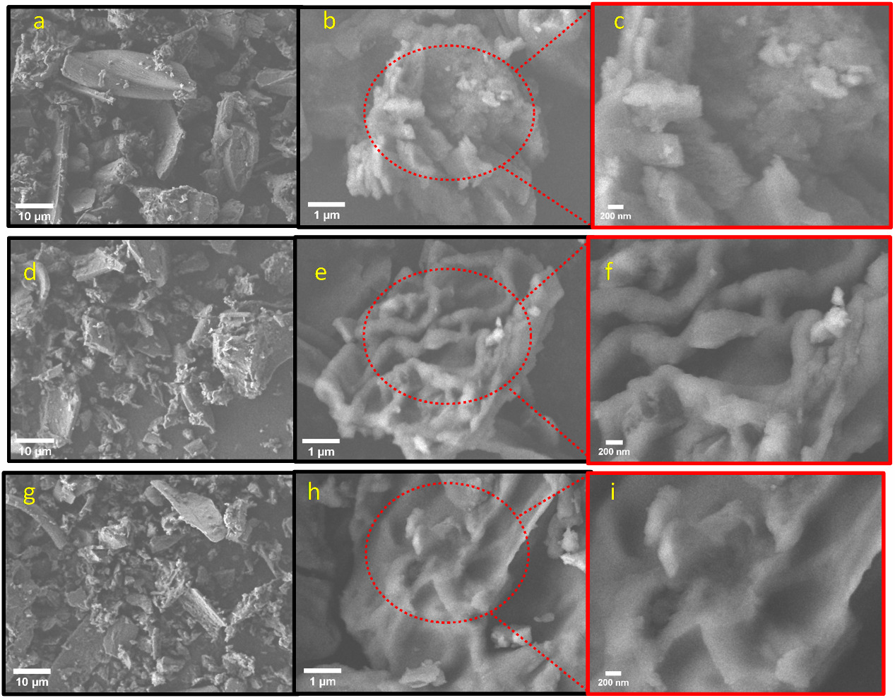 Preparation and characterisation of graphitic biochar materials derived ...