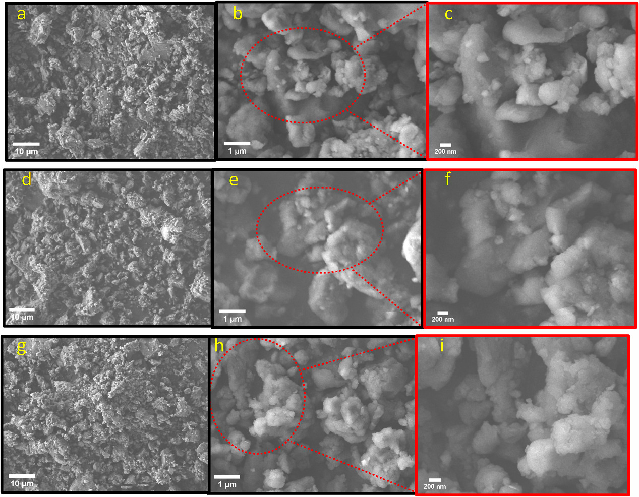 Preparation and characterisation of graphitic biochar materials derived ...