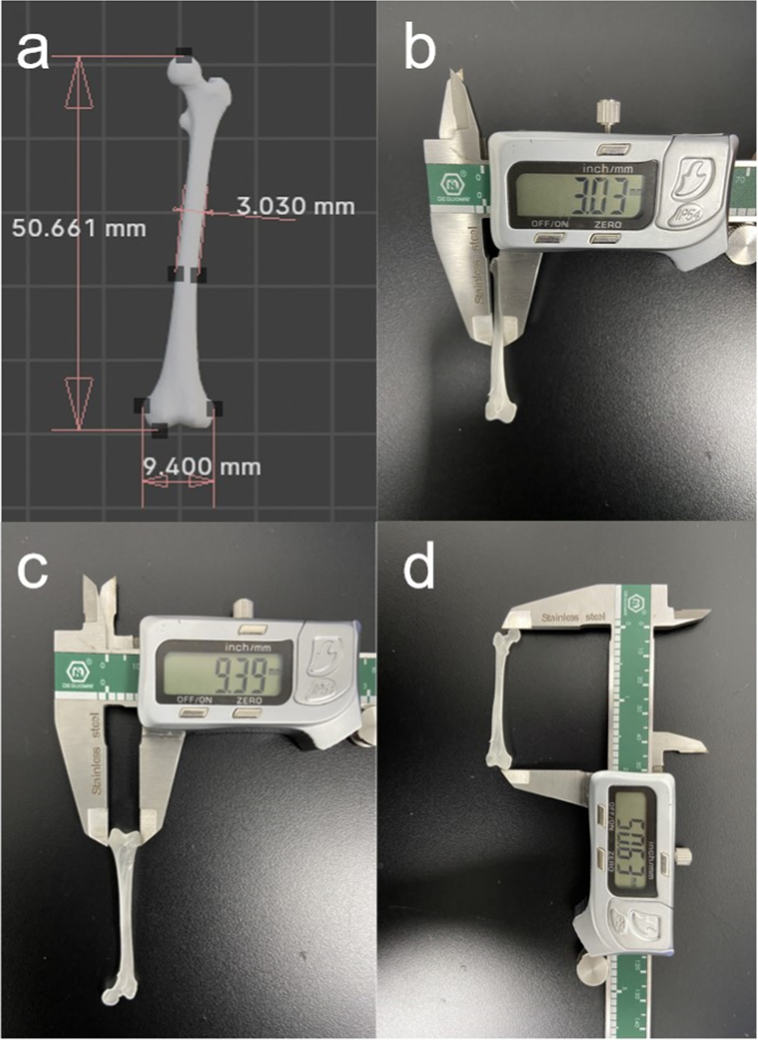 Digital light 3D printing of artificial bone with star-shaped ...