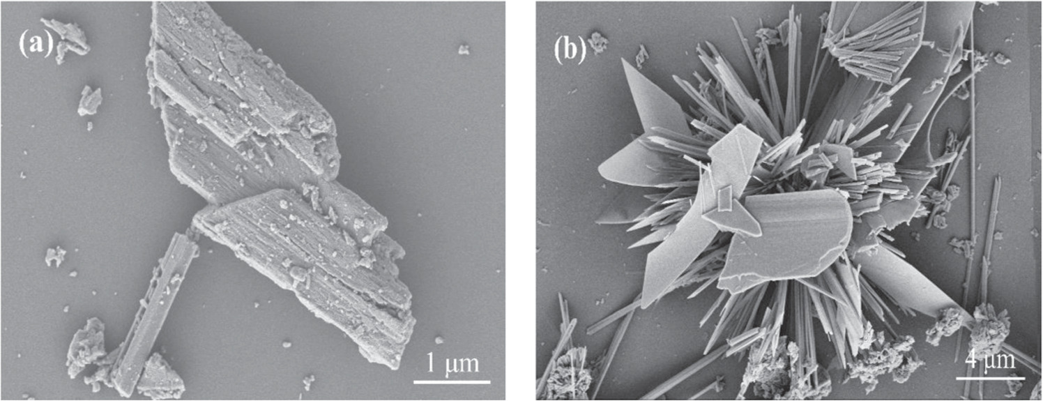 Effect of borax on the hydration and hardening of β-hemihydrate gypsum ...
