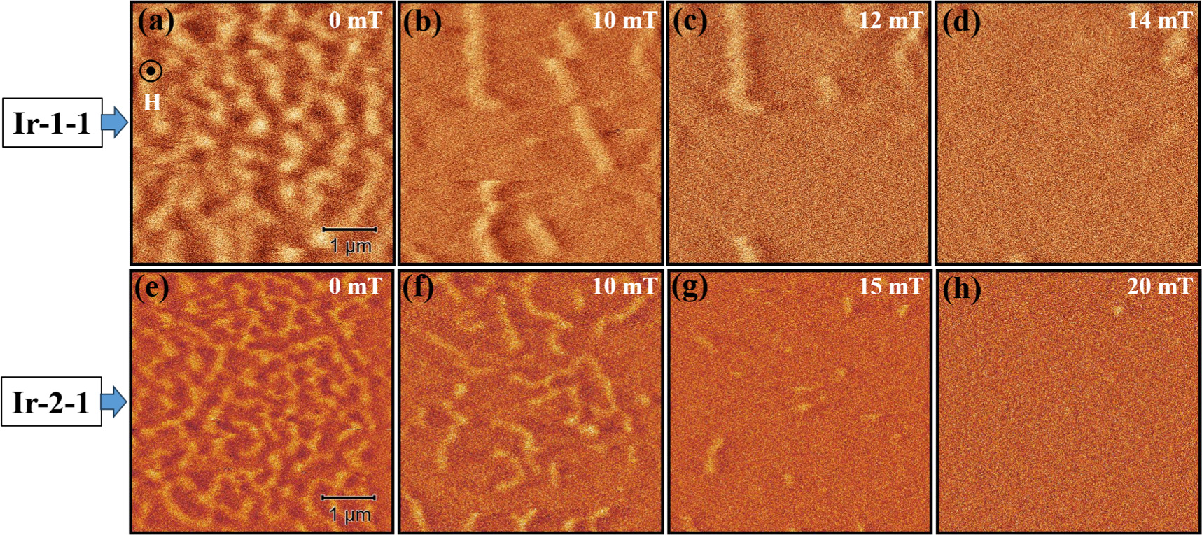 Observation of topological hall effect and skyrmions in Pt/Co/Ir/Co/Pt ...