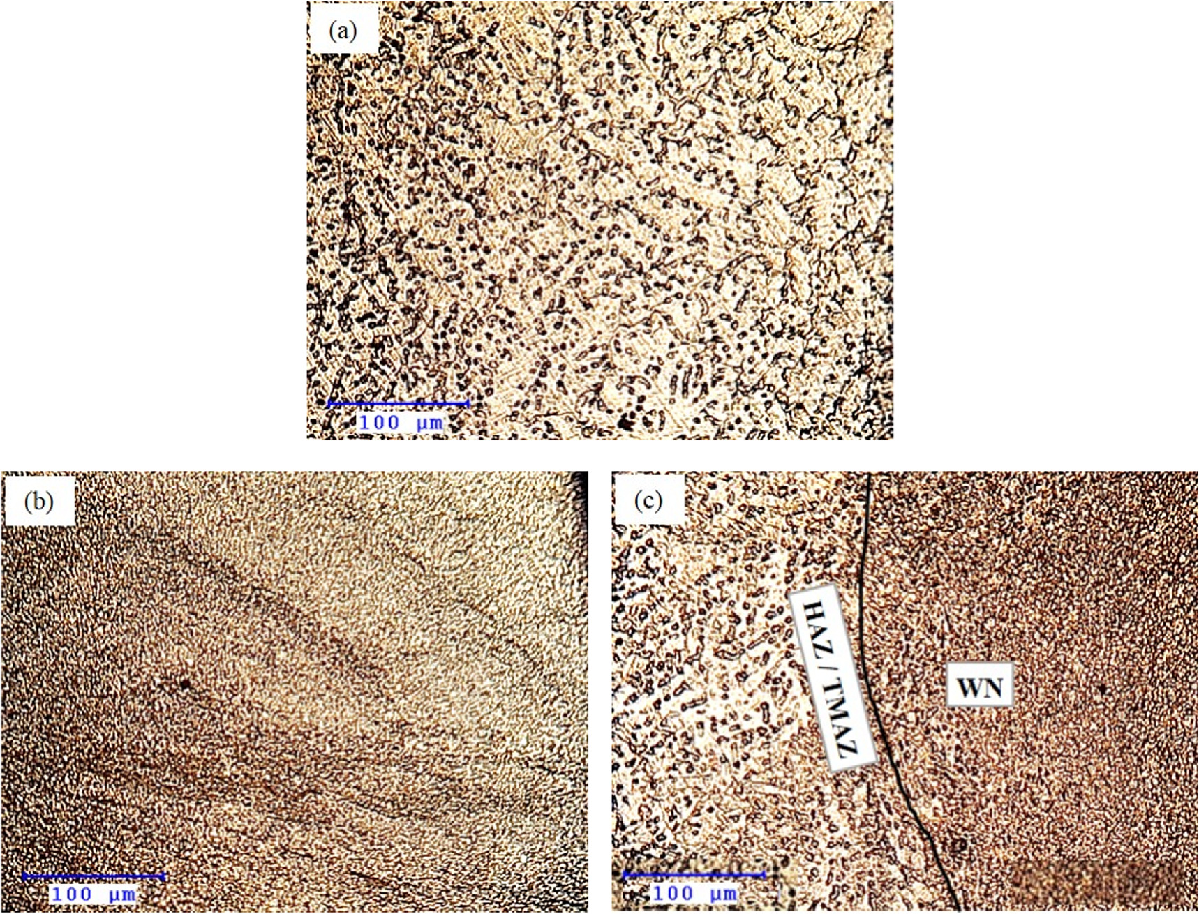 Microstructure and mechanical properties of friction stir welded AZ31 ...