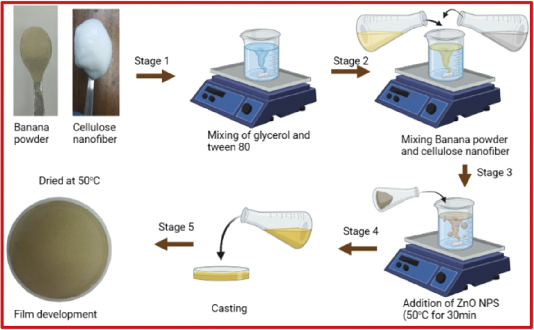 Characterization of banana powder-based film reinforced with CNF and ...