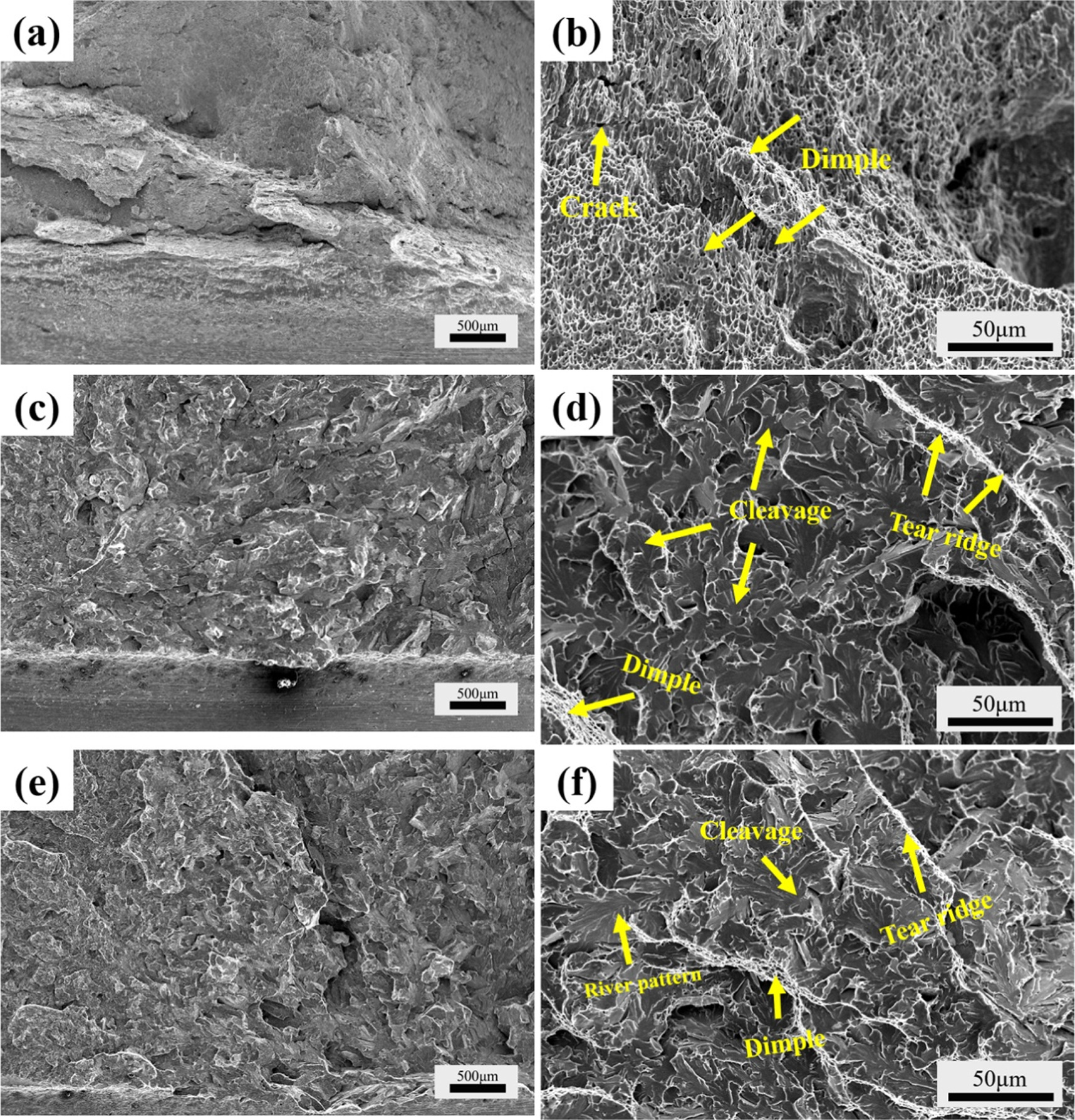Tear Ridges Effect of pre-strain on microstructure evolution and fracture behavior ...