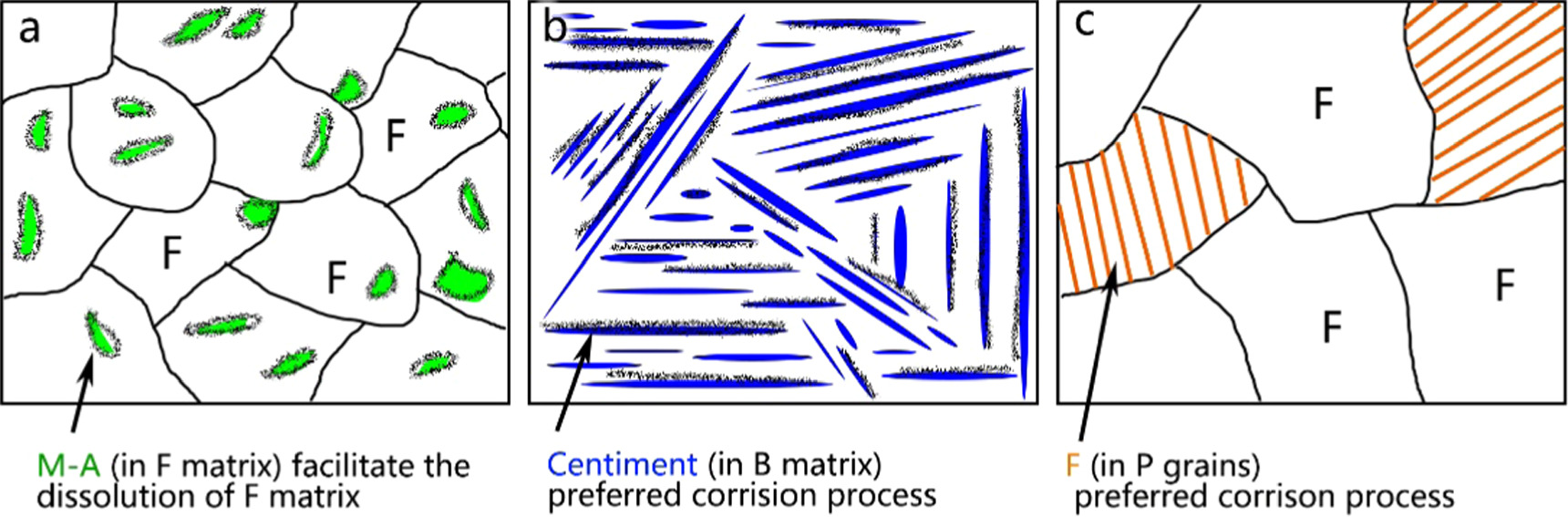 The effect of microstructure on the initial corrosion behavior of low ...
