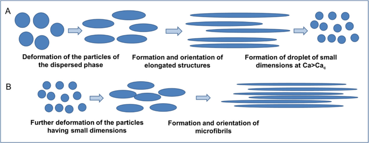A comprehensive review on flow field properties in polymer mixing ...