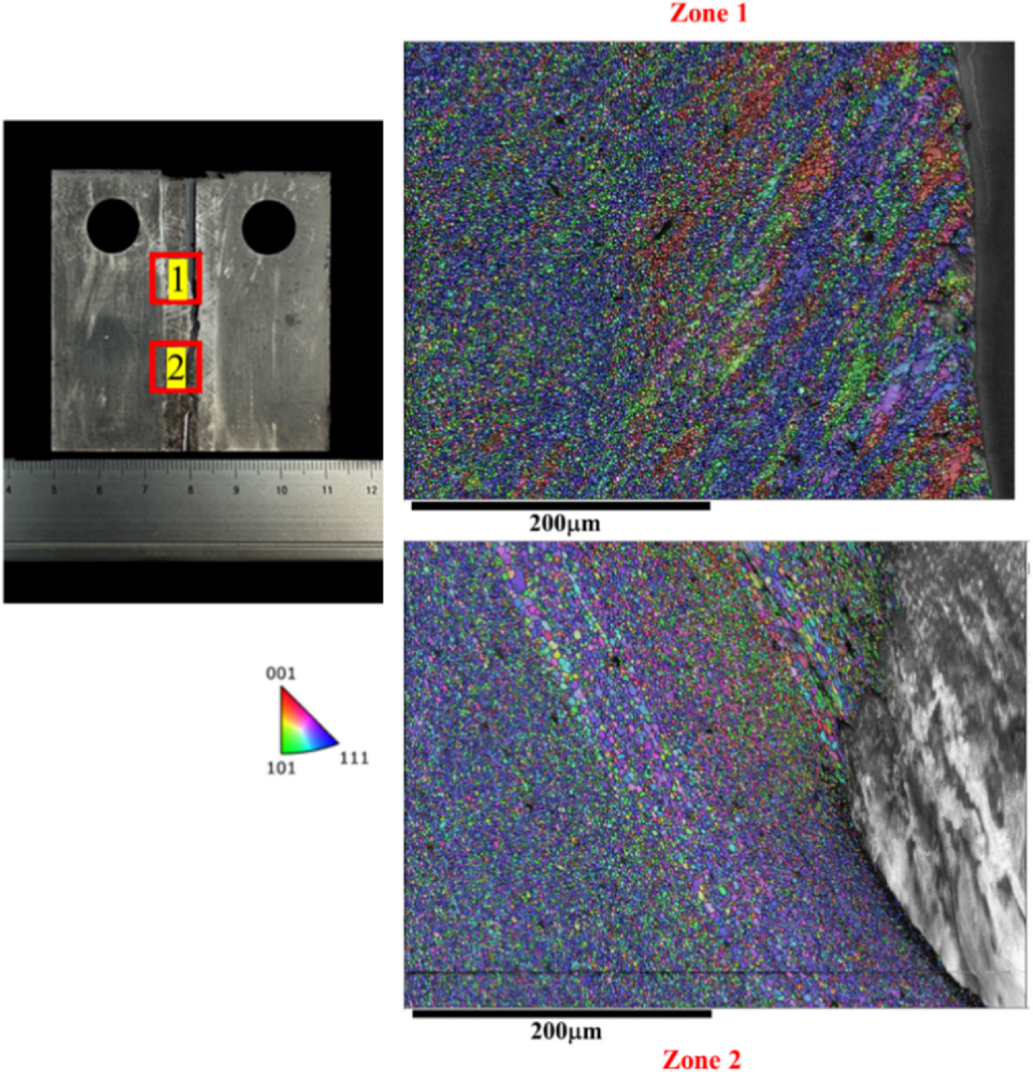 Quasi-in-situ observation of fatigue crack growth behavior of friction ...