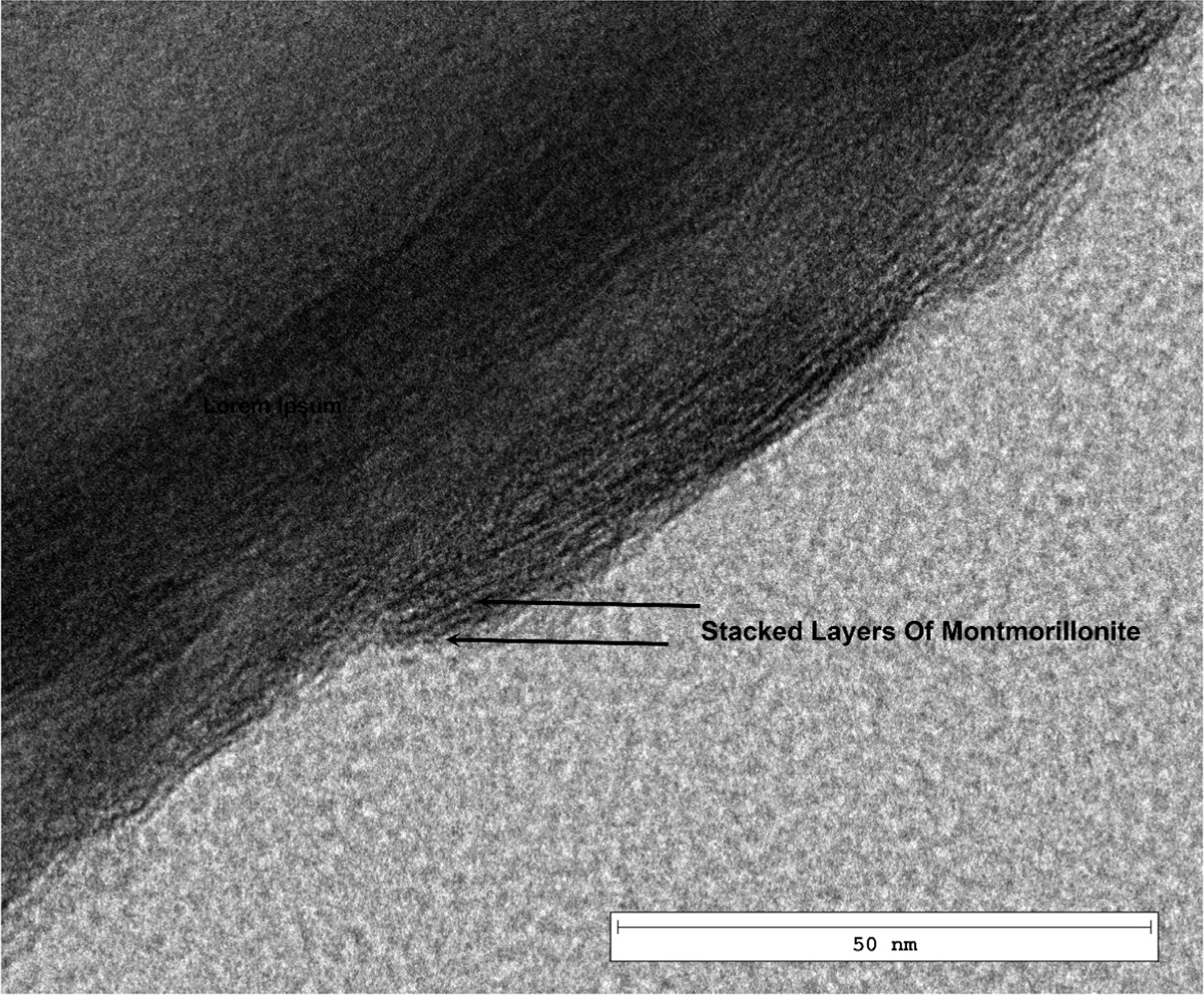 Montmorillonite in dentistry: a review of advances in research and ...