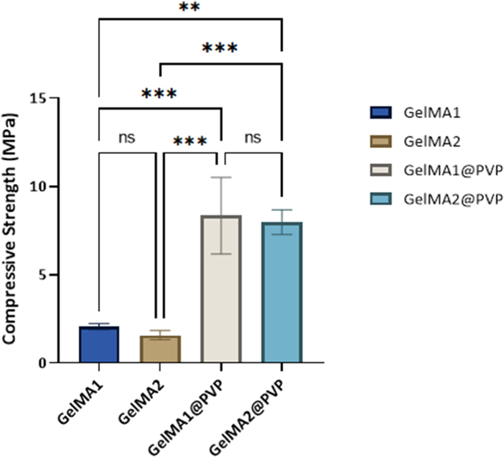 Comparative studies of GelMA hydrogels: investigating the effect of ...
