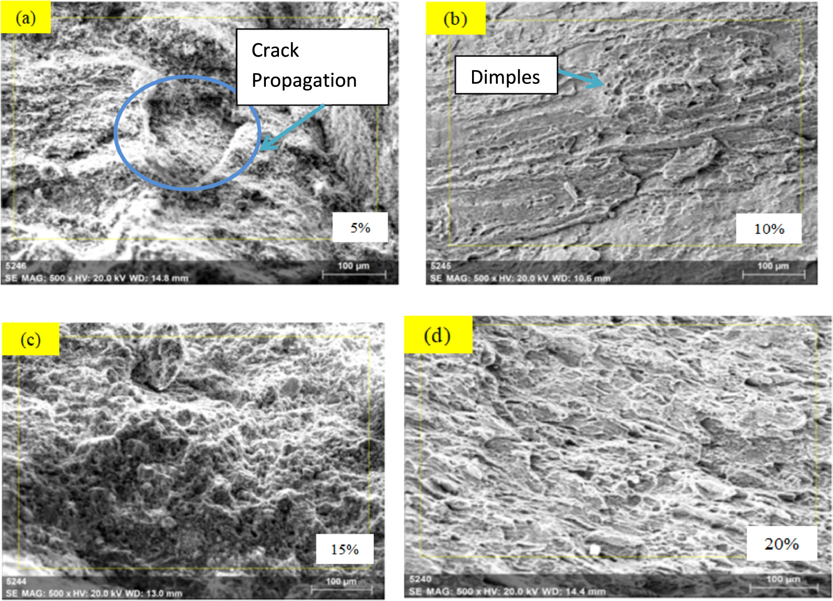 Enhancing microstructural and mechanical properties of magnesium AZ31 ...