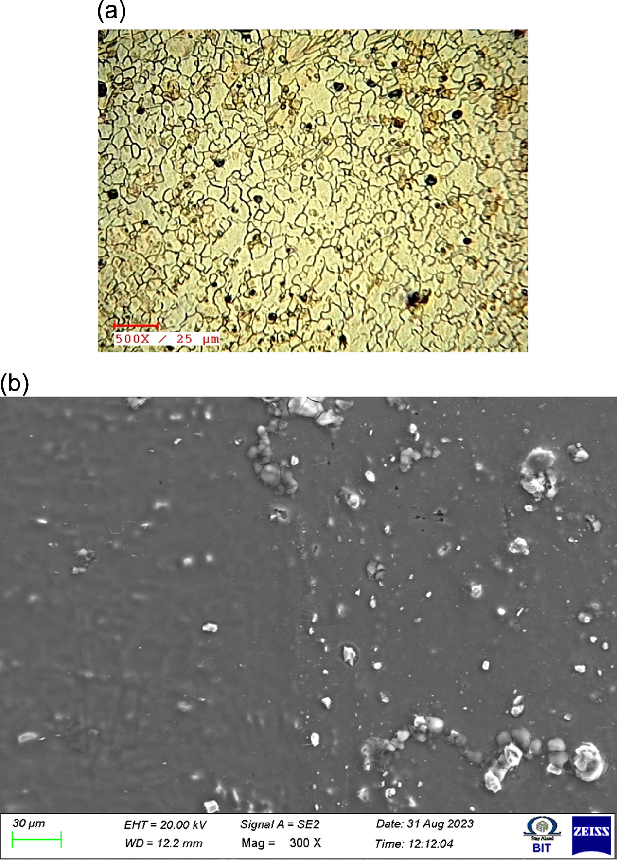 Enhancing microstructural and mechanical properties of magnesium AZ31 ...