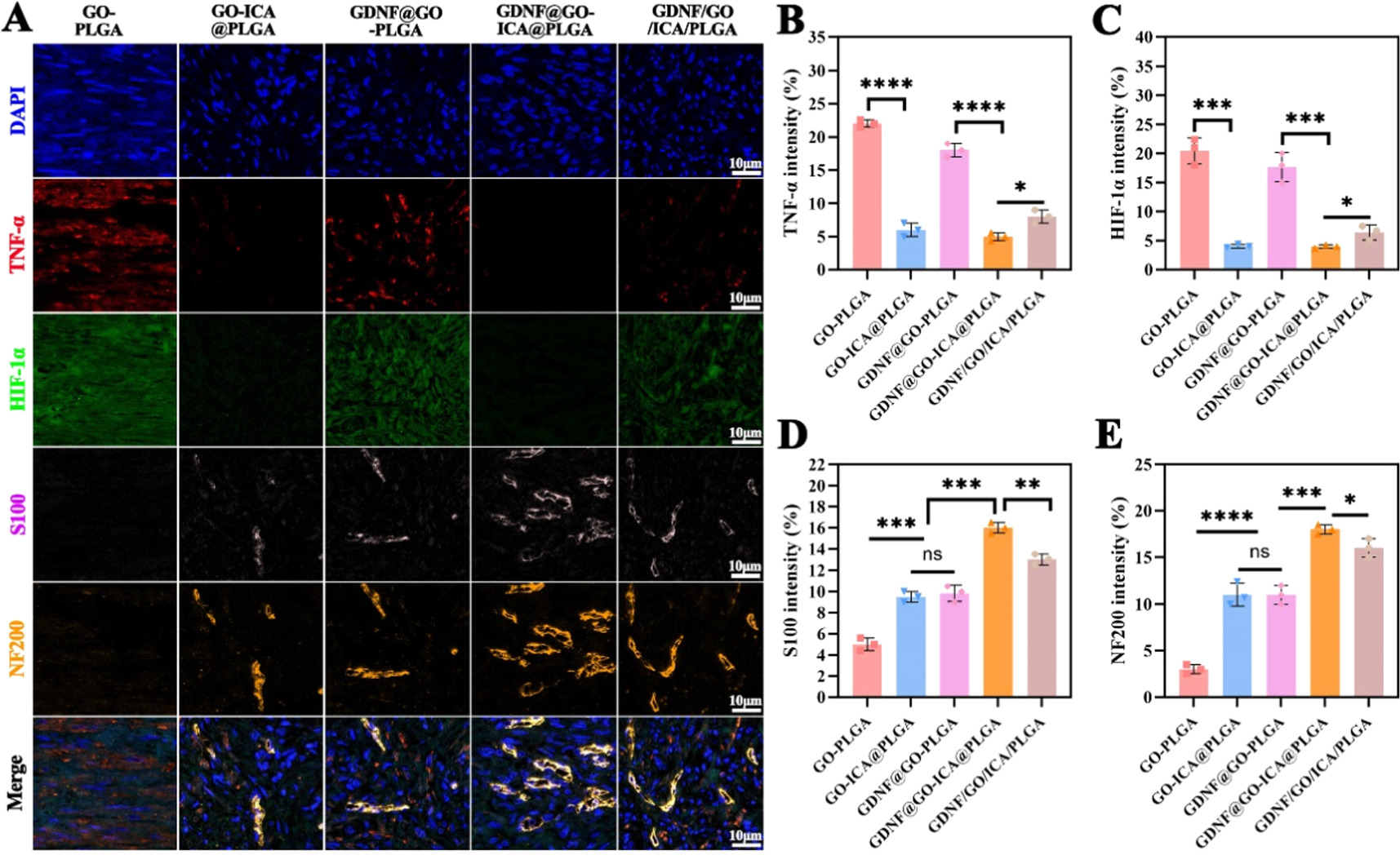 Shell-core structured nanofibers mediate staged anti-inflammatory and ...