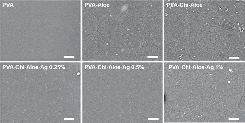 Aloe vera-synthesized Ag nanoparticles loaded on PVA/chitosan as ...