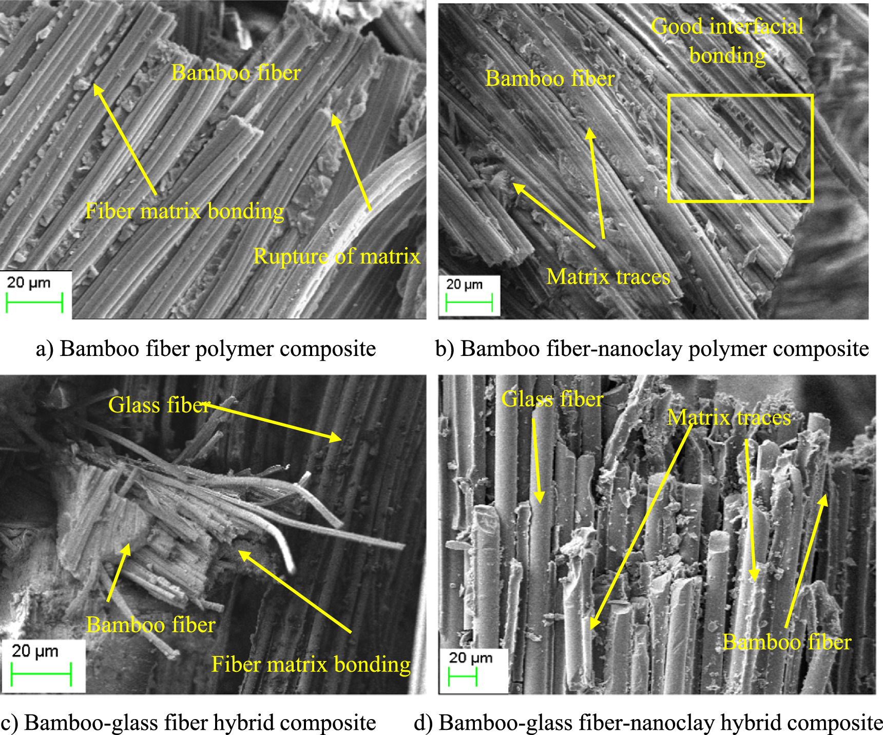 A review on properties of bamboo fiber polymer composites and bamboo/glass  fiber/nanoclay hybrid composites - IOPscience