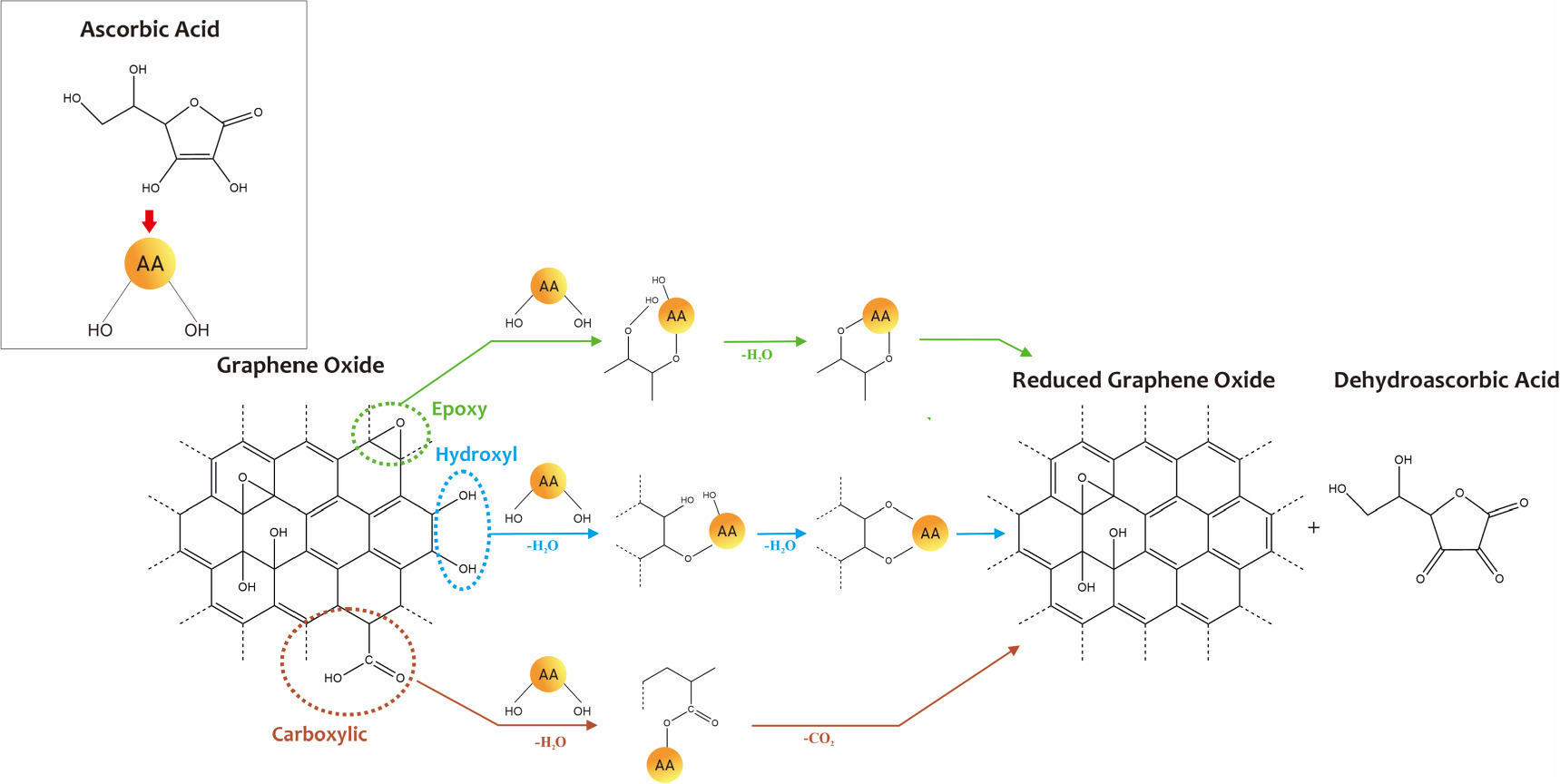 Microstructural transformation of GO to rGO by ascorbate acid green ...