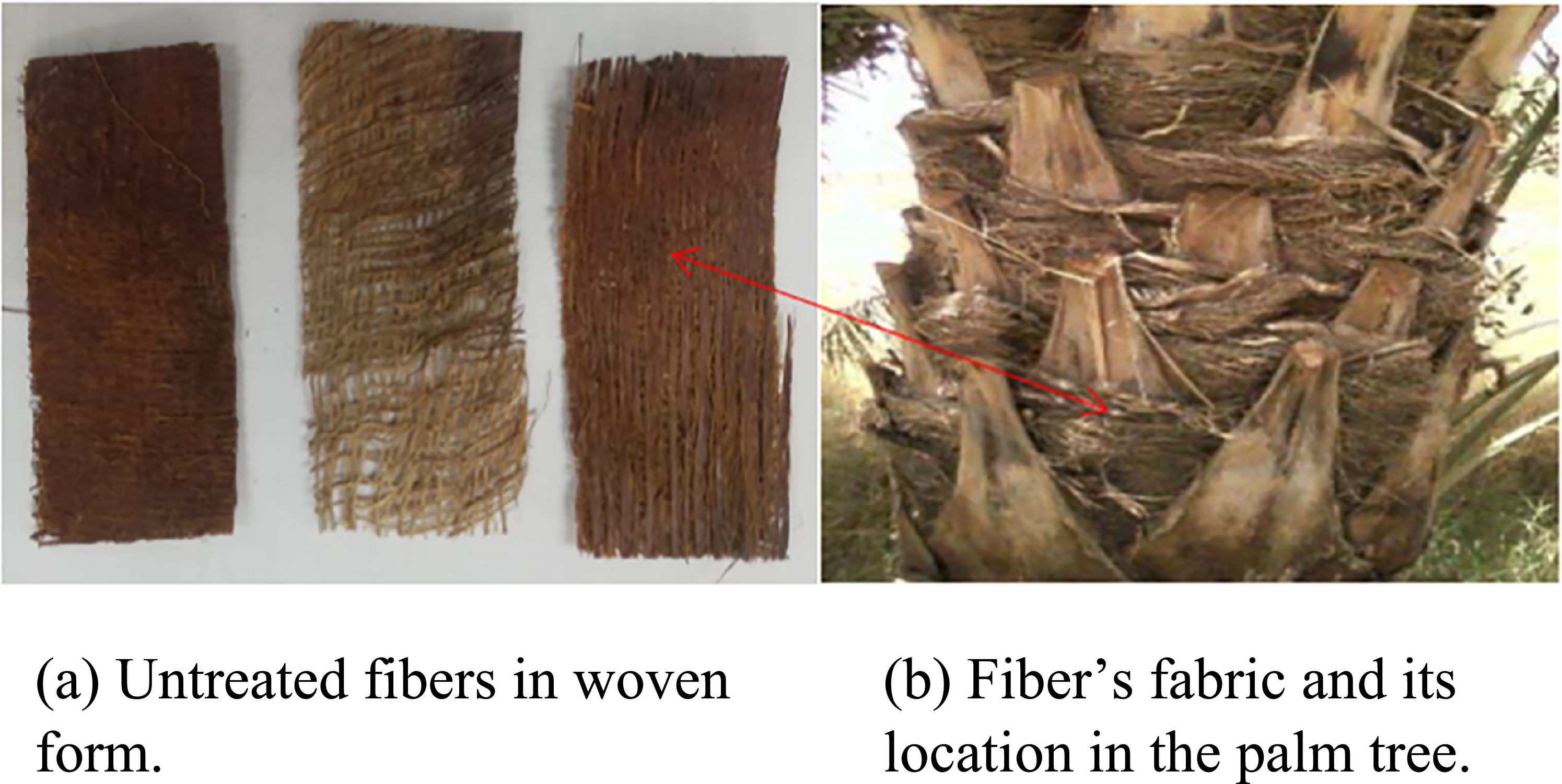 Enhanced mechanical properties of biocomposite biodegradable material ...