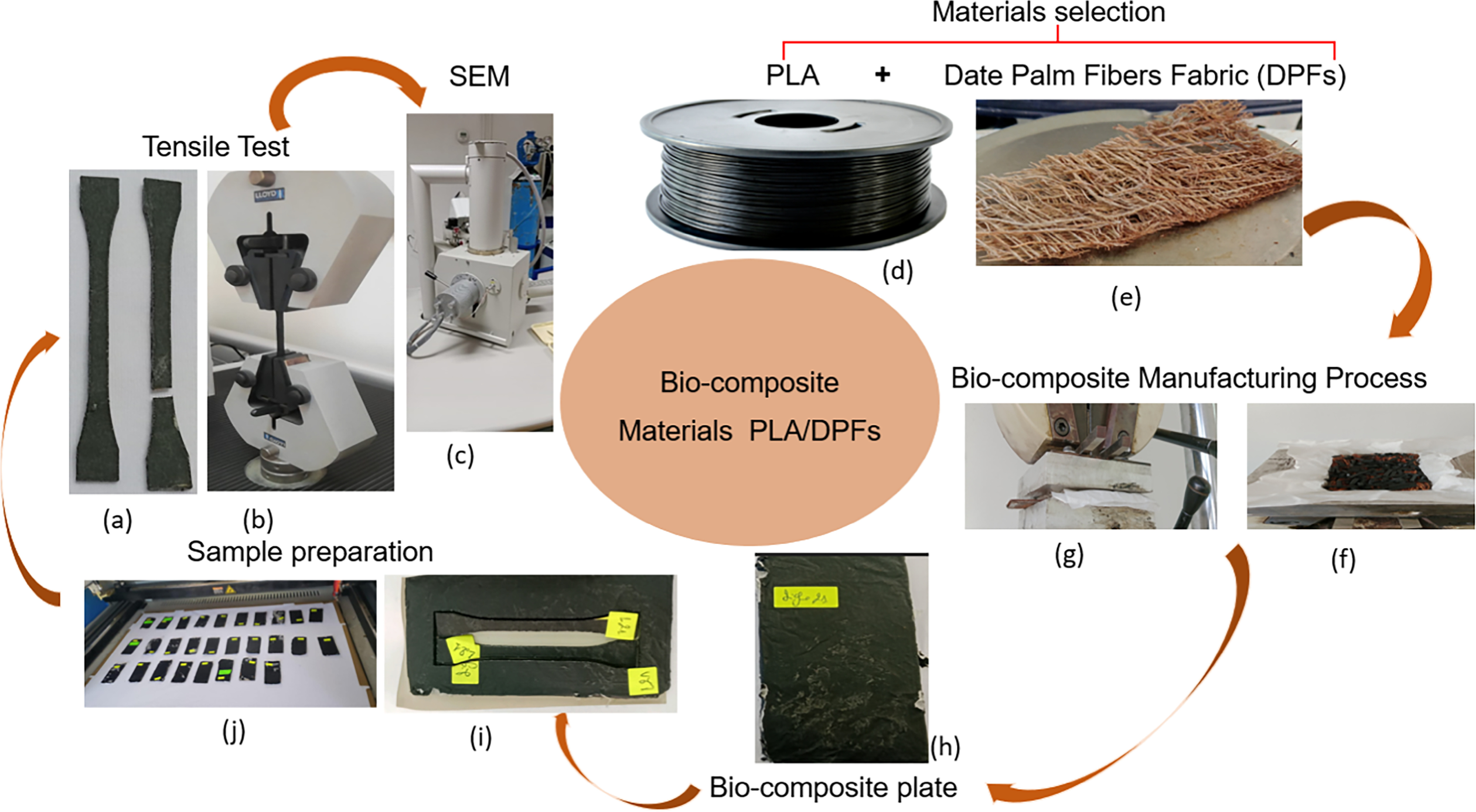 Enhanced mechanical properties of biocomposite biodegradable material ...