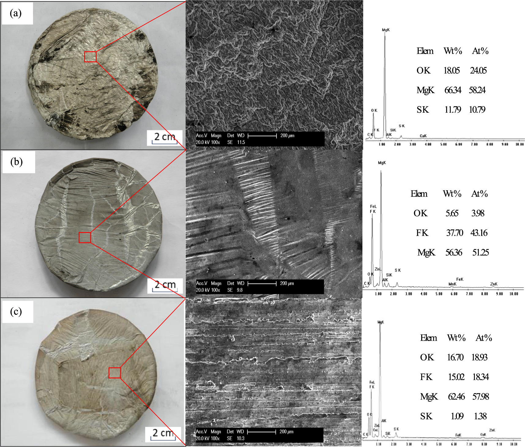 Oxidation behavior of molten magnesium alloy AZ91D in different ...