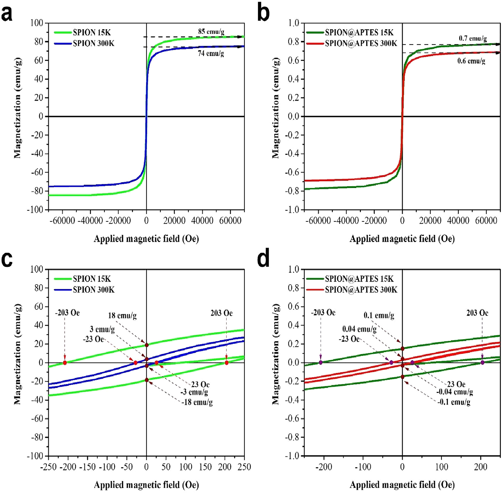 Characterization of superparamagnetic iron oxide nanoparticles and ...