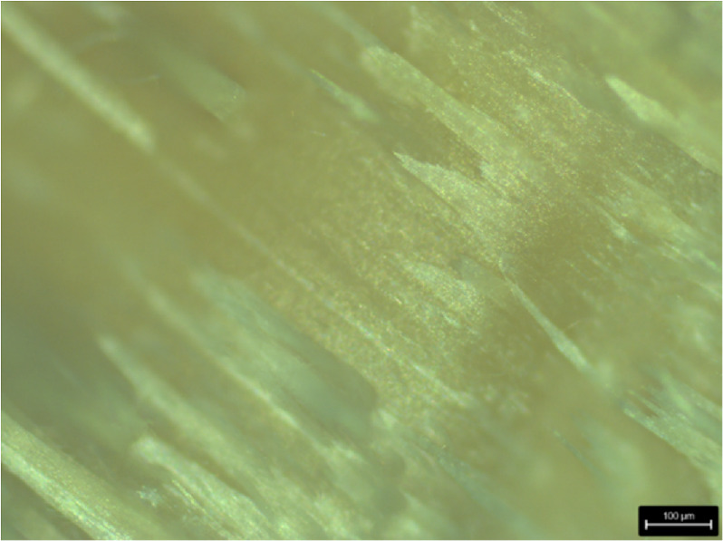 Preparation and properties of furan-based liquid crystal polymer ...