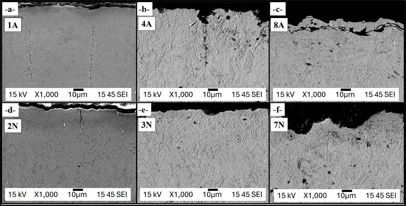 Characterization of laser surface burns generated with different fiber ...