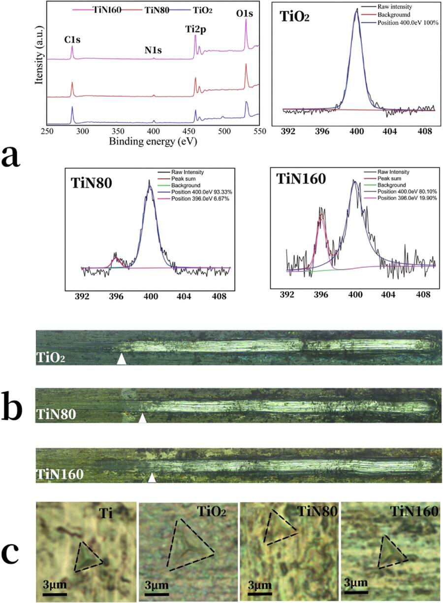 Synthesis of titanium nitride-coated titanium dioxide nanotubes and an ...