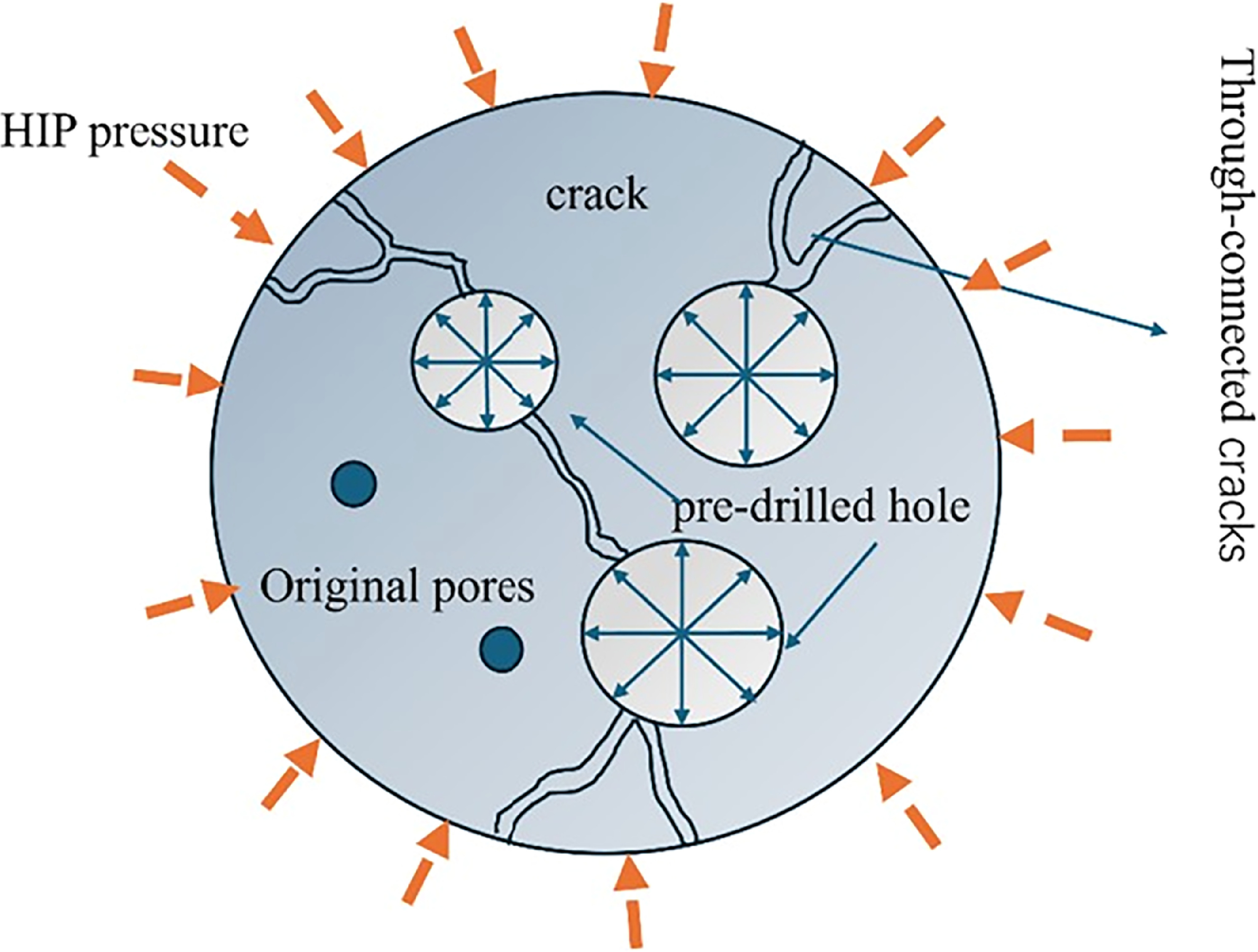 Microstructure and corrosion resistance of ZL205A alloy through pore ...