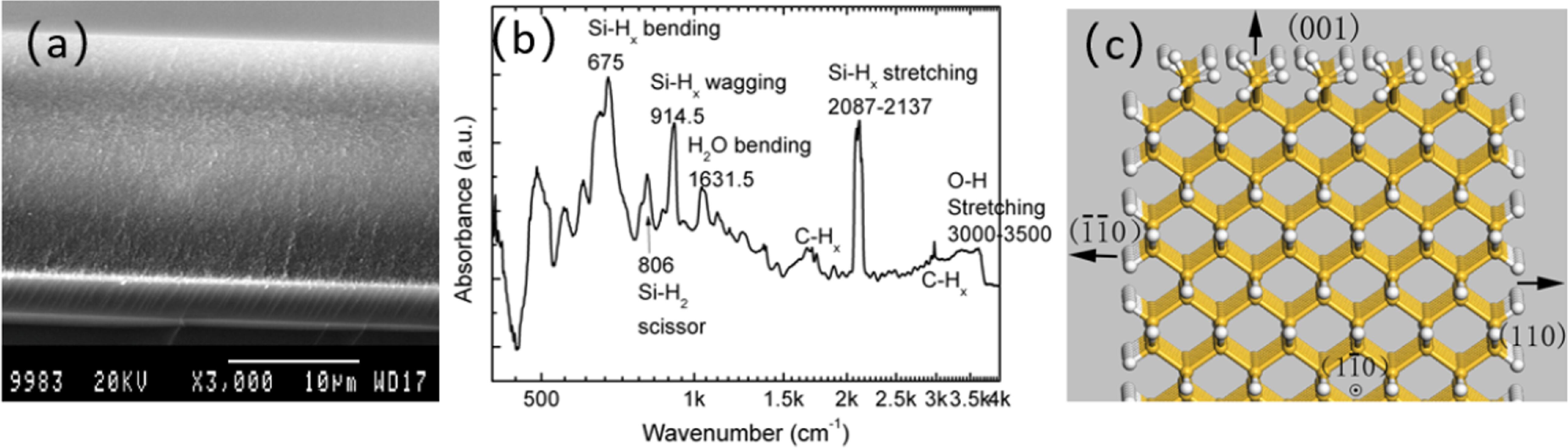 Preparation, morphology and N2-O2 analysis of palladium nanostructures ...