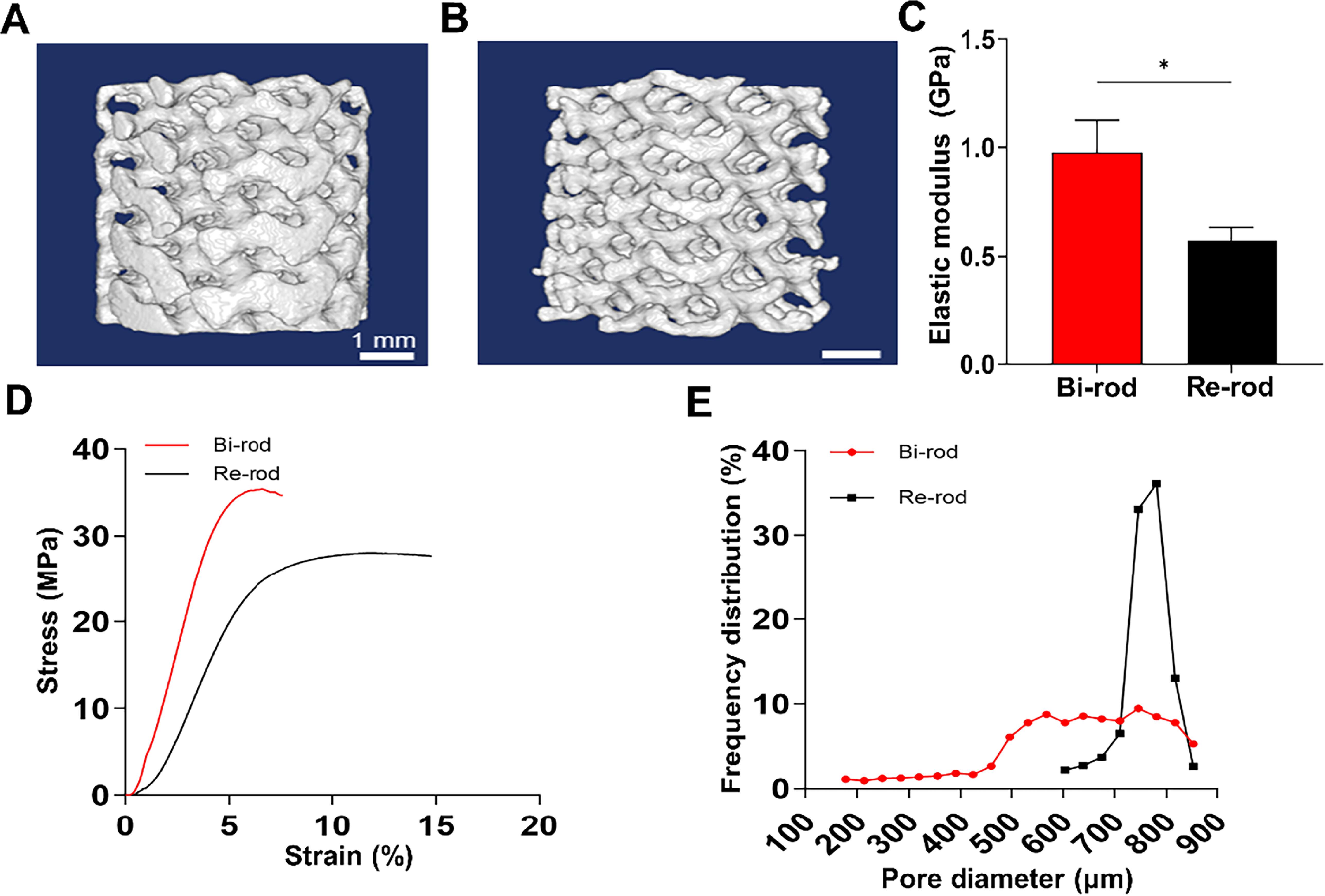 Bionic gradient porous titanium rods enhance mechanics, osteogenesis ...