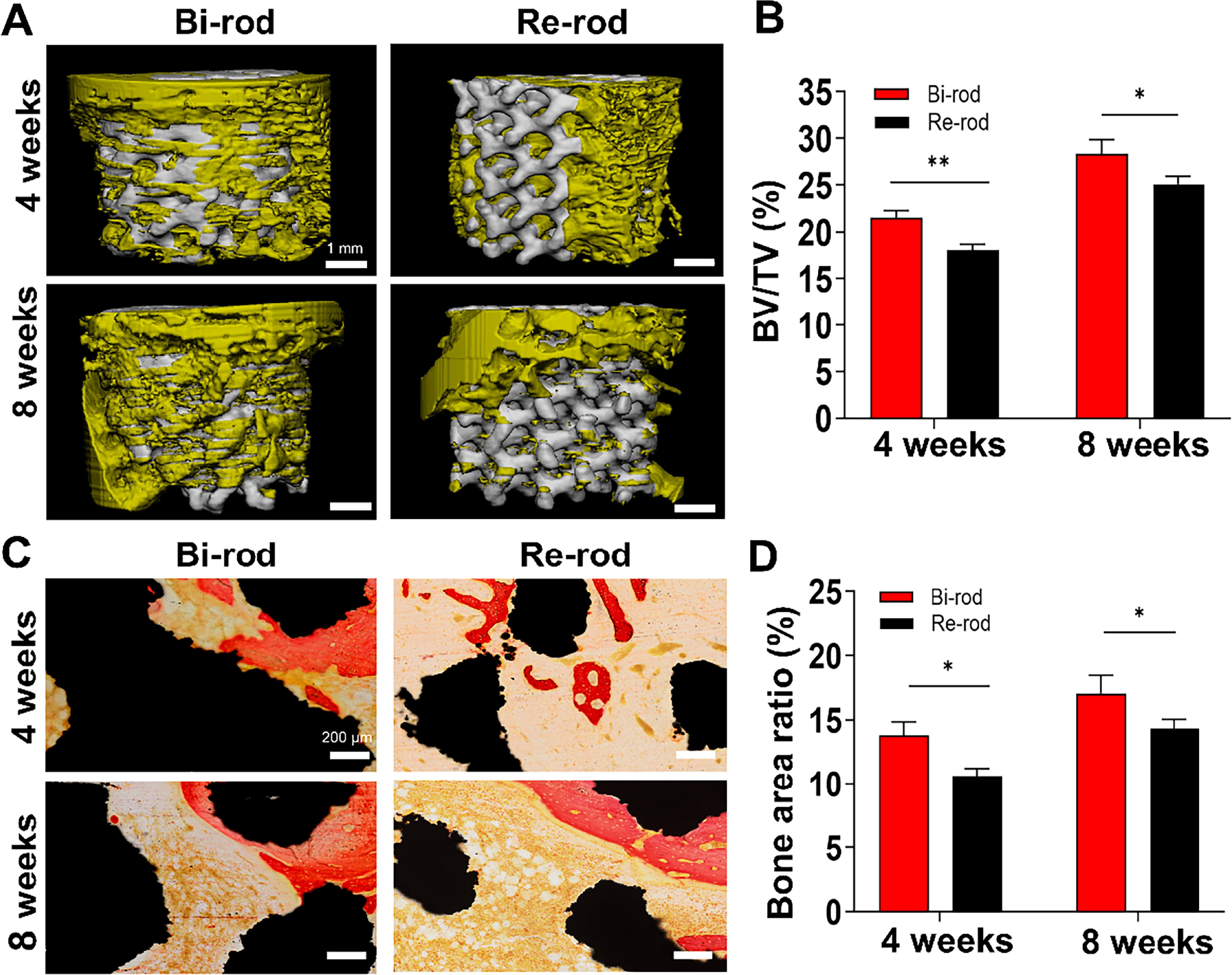 Bionic gradient porous titanium rods enhance mechanics, osteogenesis ...