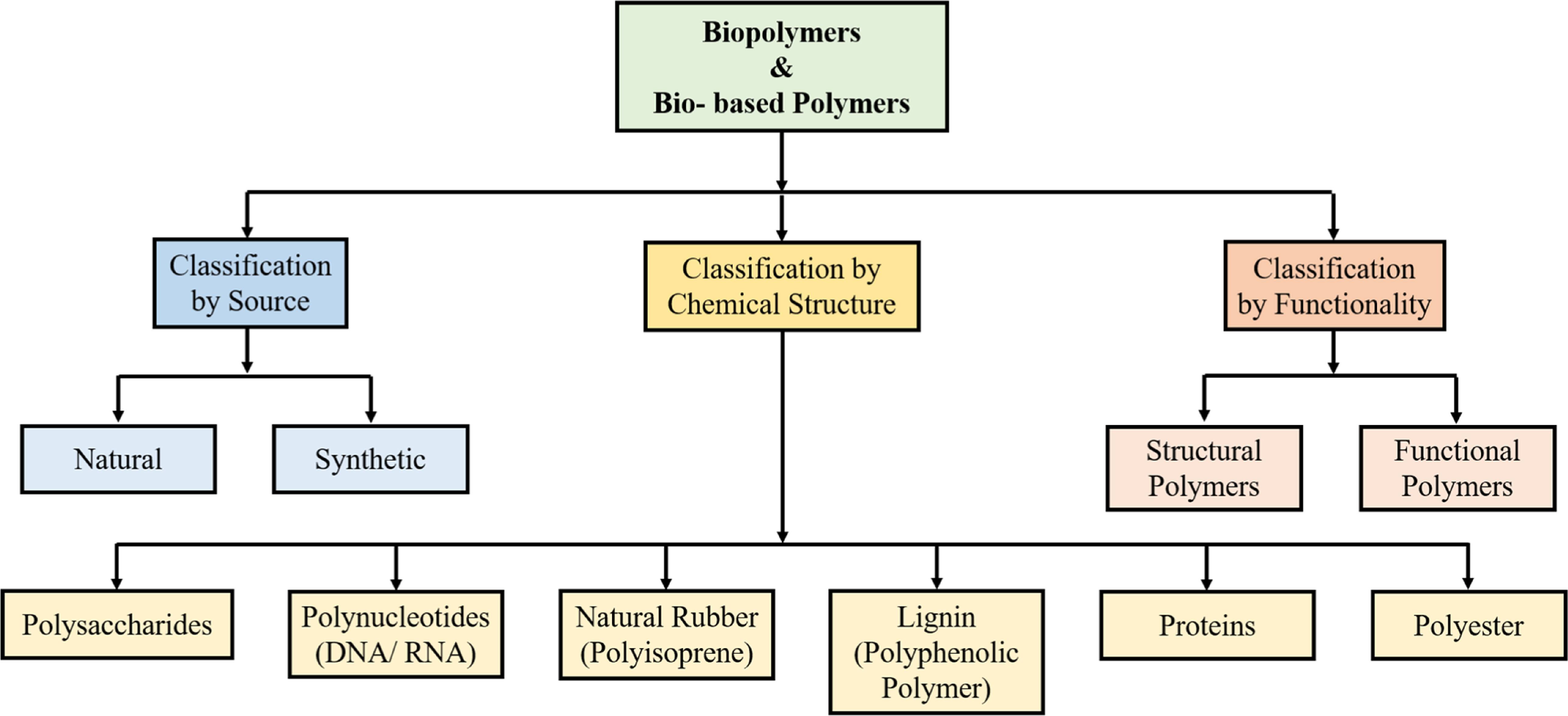 Biopolymers for a sustainable future: advanced nanoarchitectonics and ...