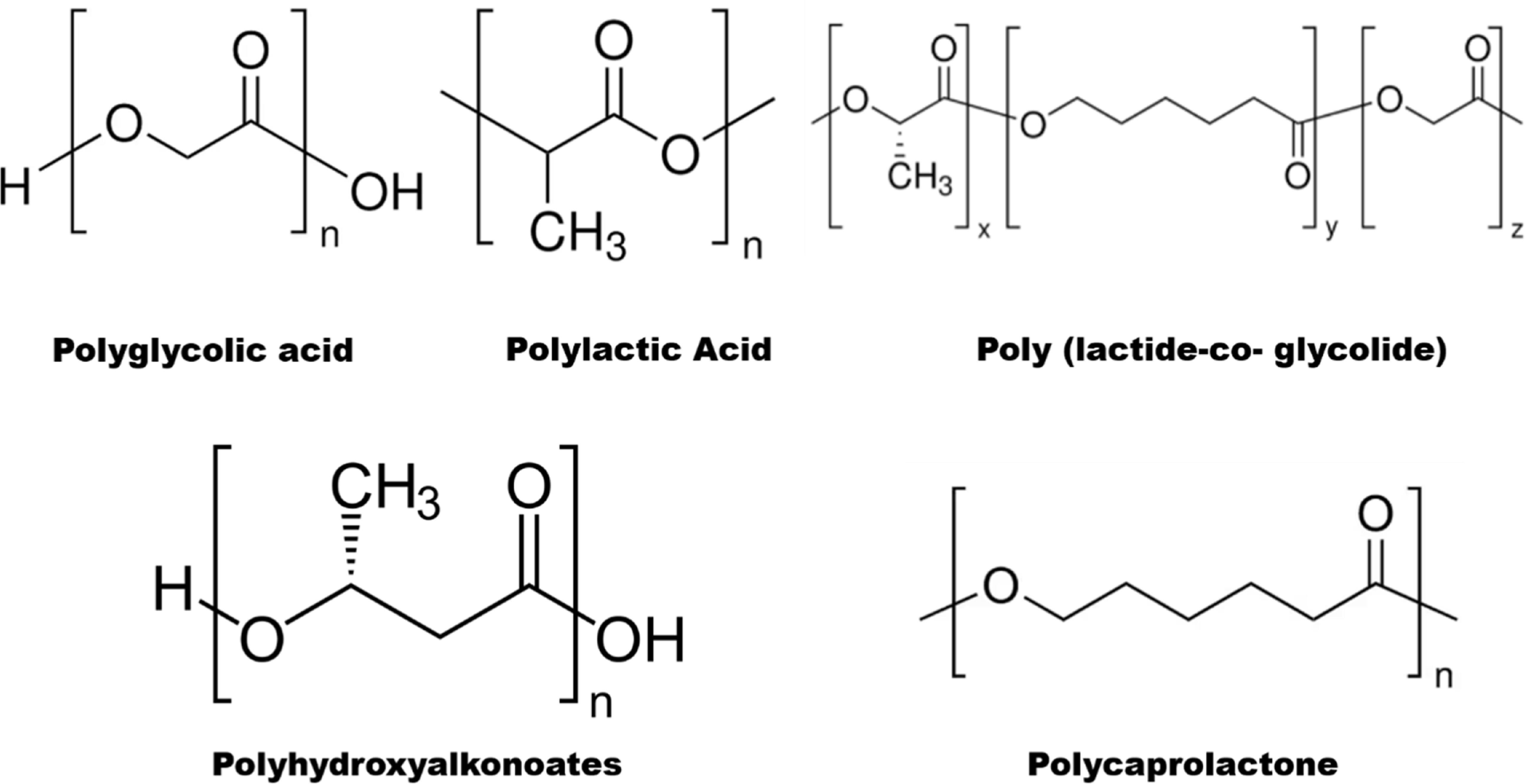 Biopolymers for a sustainable future: advanced nanoarchitectonics and ...