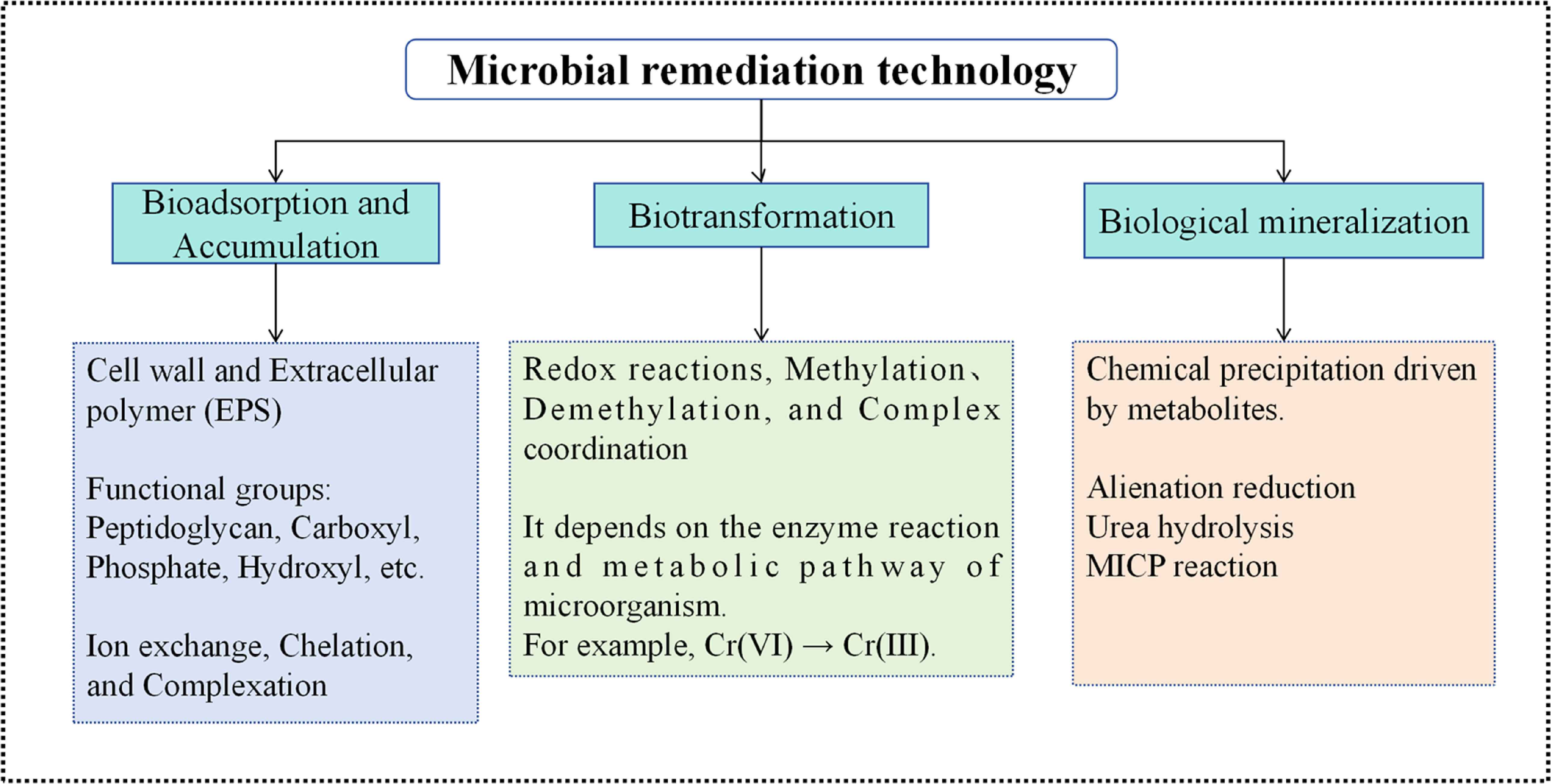 Research progress on microbial remediation of heavy metal contaminated ...