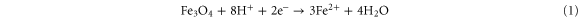 Equation (1)