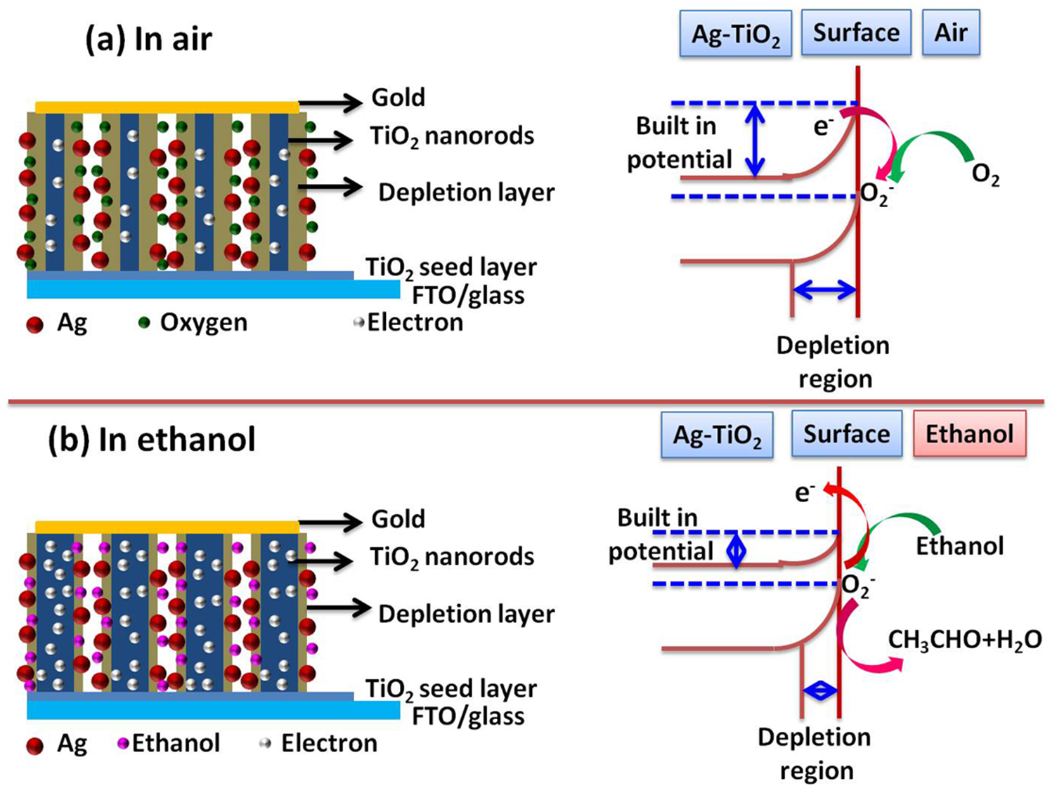 Surface modification of TiO2 nanorod arrays by Ag nanoparticles and its ...