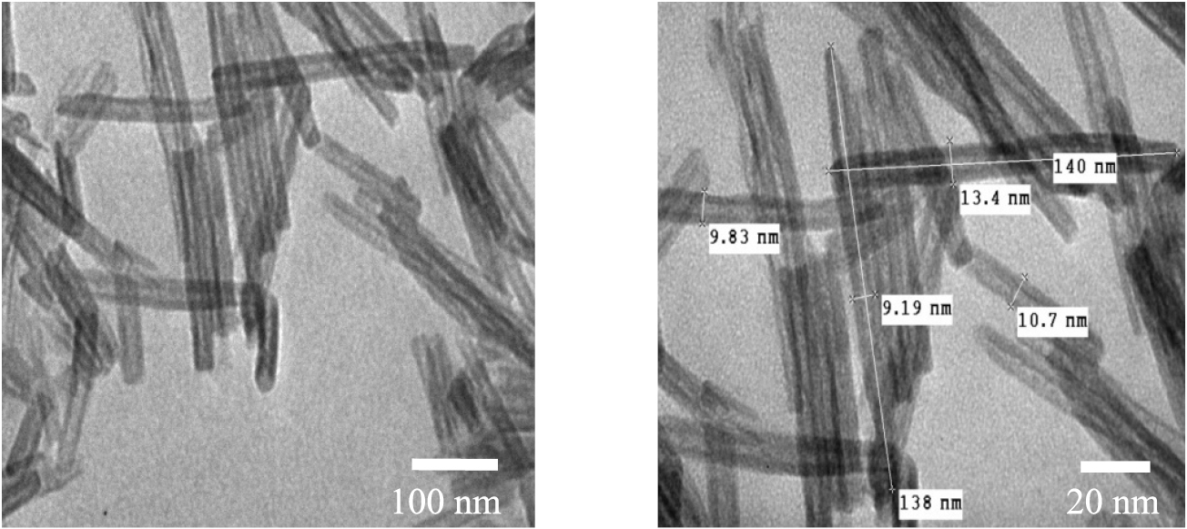 Surface modification of TiO2 nanotubes by grafting with APTS coupling ...