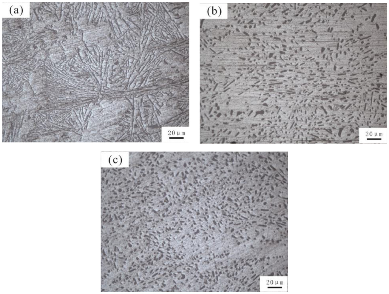 Spheroidization of Si in Al–12.6wt.%Si at eutectic temperature and its ...