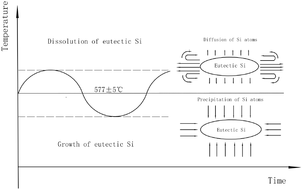 Spheroidization of Si in Al–12.6wt.%Si at eutectic temperature and its ...