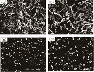 Spheroidization of Si in Al–12.6wt.%Si at eutectic temperature and its ...