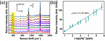 Detection of mercury(II) with a surface-enhanced Raman scattering ...