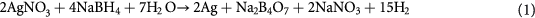 Equation (1)