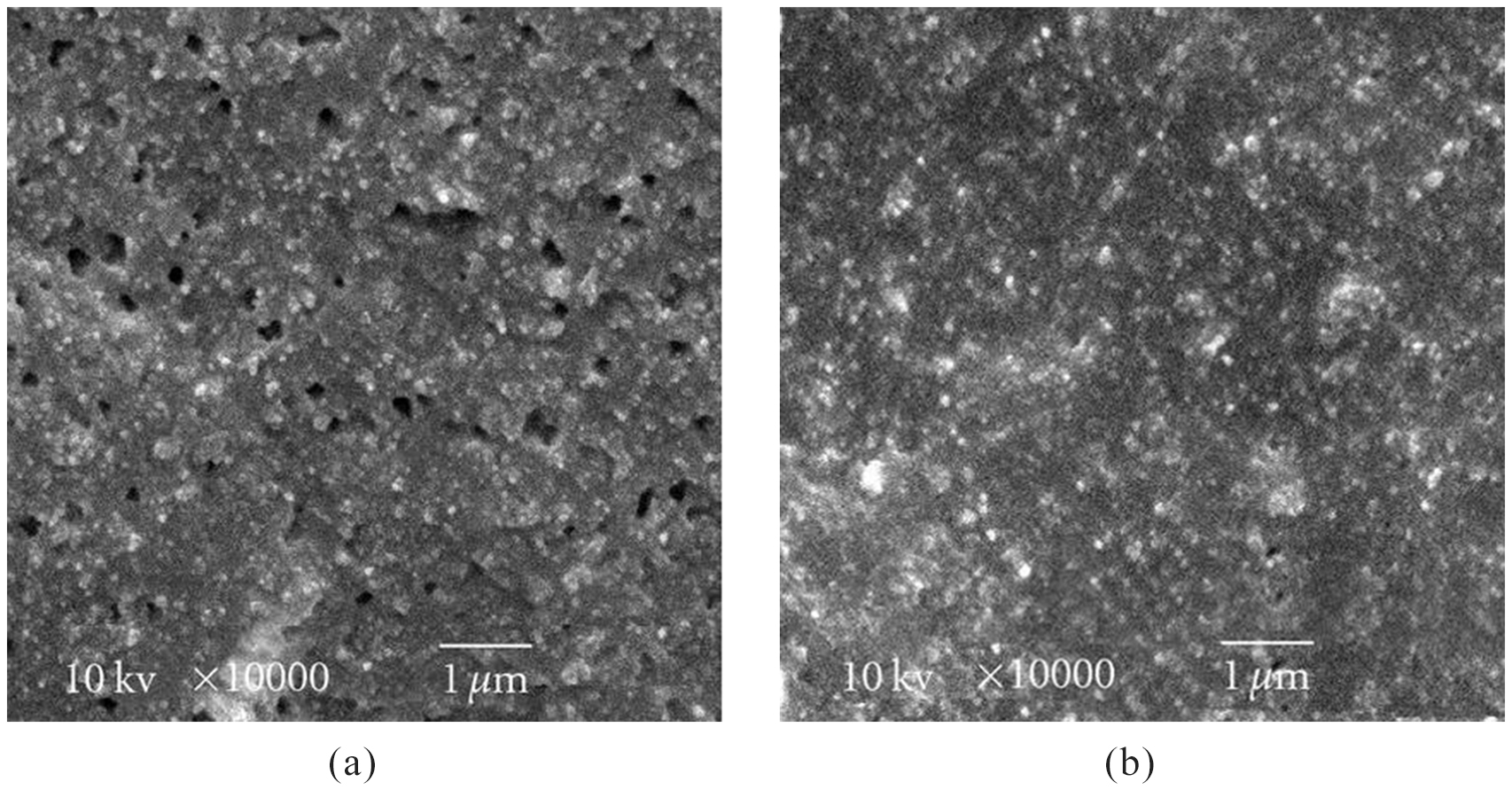 Analysis of the electrical and magnetic properties of elastomeric ...